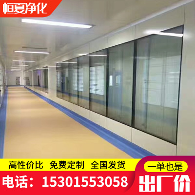 洁净中空观察窗固定窗彩钢板玻璃窗双层视窗定做